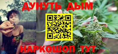 шишки Будённовск