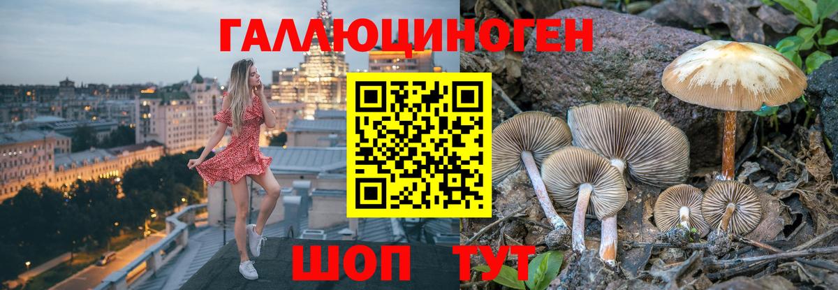 Галлюциногенные грибы мухоморы Людиново